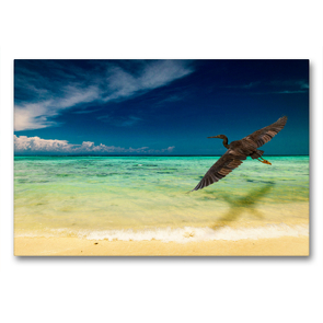 Premium Textil-Leinwand 90 x 60 cm Quer-Format Traumstrand auf Mantanani Island, Borneo. | Wandbild, HD-Bild auf Keilrahmen, Fertigbild auf hochwertigem Vlies, Leinwanddruck von Arne Wünsche