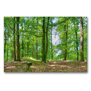 Premium Textil-Leinwand 90 x 60 cm Quer-Format Unterwegs im Wald | Wandbild, HD-Bild auf Keilrahmen, Fertigbild auf hochwertigem Vlies, Leinwanddruck von Ralf Wittstock