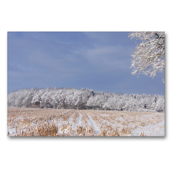 Premium Textil-Leinwand 90 x 60 cm Quer-Format Winterstimmung am Waldesrand | Wandbild, HD-Bild auf Keilrahmen, Fertigbild auf hochwertigem Vlies, Leinwanddruck von Schwan