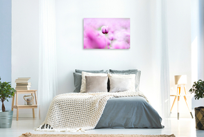Premium Textil-Leinwand 900 x 600 cm Quer-Format Blaumohn Blüte im Blütenmeer | Wandbild, HD-Bild auf Keilrahmen, Fertigbild auf hochwertigem Vlies, Leinwanddruck von Fotodesign Verena Scholze