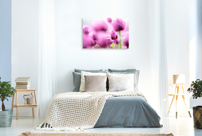 Premium Textil-Leinwand 900 x 600 cm Quer-Format Blaumohn Blüte im Blütenmeer | Wandbild, HD-Bild auf Keilrahmen, Fertigbild auf hochwertigem Vlies, Leinwanddruck von Fotodesign Verena Scholze