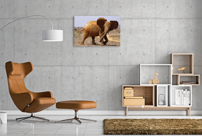 Premium Textil-Leinwand 900 x 600 cm Quer-Format Elefant | Wandbild, HD-Bild auf Keilrahmen, Fertigbild auf hochwertigem Vlies, Leinwanddruck von Erika Müller