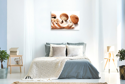 Premium Textil-Leinwand 900 x 600 cm Quer-Format Pilze | Wandbild, HD-Bild auf Keilrahmen, Fertigbild auf hochwertigem Vlies, Leinwanddruck von Stefan Weis