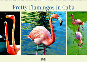 Pretty Flamingos in Cuba (Wandkalender 2023 DIN A2 quer) von von Loewis of Menar,  Henning