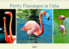 Pretty Flamingos in Cuba (Wandkalender 2023 DIN A3 quer) von von Loewis of Menar,  Henning