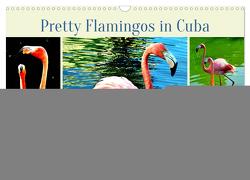 Pretty Flamingos in Cuba (Wandkalender 2024 DIN A3 quer), CALVENDO Monatskalender von von Loewis of Menar,  Henning