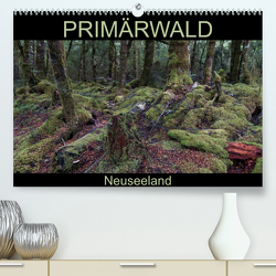 Primärwald – Neuseeland (Premium, hochwertiger DIN A2 Wandkalender 2023, Kunstdruck in Hochglanz) von Flori0