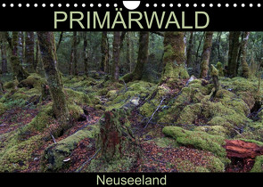 Primärwald – Neuseeland (Wandkalender 2023 DIN A4 quer) von Flori0