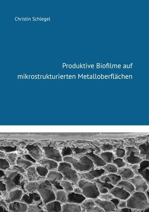 Produktive Biofilme auf mikrostrukturierten Metalloberflächen von Schlegel,  Christin