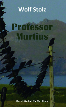 Professor Murtius – Der dritte Fall für Mr. Shark von Stolz,  Wolf