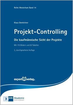 Projekt-Controlling von Demleitner,  Klaus