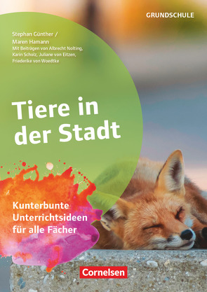 Projekthefte Grundschule von Günther,  Stephan, Hamann,  Maren, Nolting,  Albrecht, Scholz,  Karin