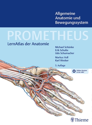 PROMETHEUS Allgemeine Anatomie und Bewegungssystem von Schulte,  Erik, Schumacher,  Udo, Schünke,  Michael