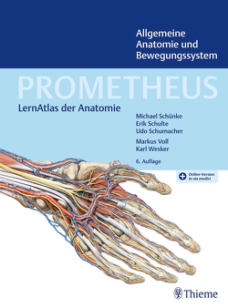 PROMETHEUS Allgemeine Anatomie und Bewegungssystem von Schulte,  Erik, Schumacher,  Udo, Schünke,  Michael