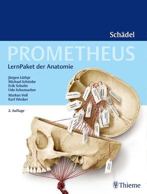 PROMETHEUS LernPaket Anatomie Schädel von Lüthje,  Jürgen, Schulte,  Erik, Schumacher,  Udo, Schünke,  Michael