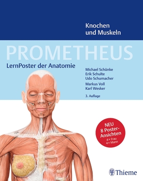 PROMETHEUS LernPoster der Anatomie, Knochen und Muskeln von Schulte,  Erik, Schumacher,  Udo, Schünke,  Michael