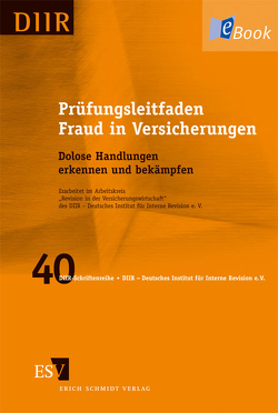 Prüfungsleitfaden Fraud in Versicherungen