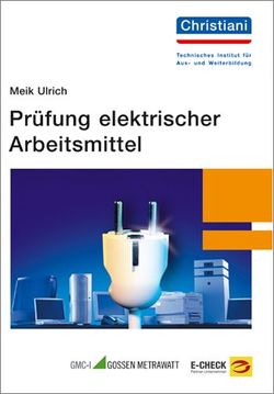 Prüfung elektrischer Arbeitsmittel von Ulrich,  Meik
