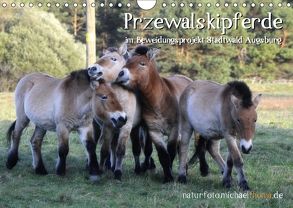 Przewalskipferde (Wandkalender 2018 DIN A4 quer) von Thoma,  Michael