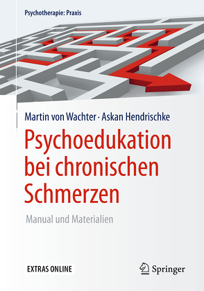 Psychoedukation bei chronischen Schmerzen von Hendrischke,  Askan, von Wachter,  Martin