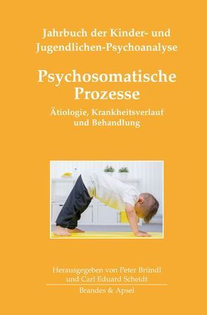 Psychosomatische Prozesse von Anzieu-Premmereur,  Christine, Bründl,  Peter, Bürgin,  Dieter, Grotta,  Adriana, Herzog,  James F., Israel,  Agathe, Morra,  Paola, Pedrina,  Fernanda, Rauwald,  Marianne, Saegesser,  Barbara, Scheidt,  Carl Eduard, Schmid-Arnold,  Viktoria, Steck,  Barbara, von Schelling,  Adriana, Walter,  Alfred