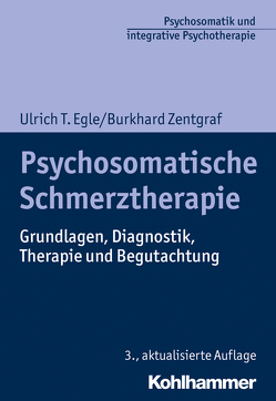 Psychosomatische Schmerztherapie von Egle,  Ulrich T, Flückiger,  Christoph, Grosse Holtforth,  Martin, Zentgraf,  Burkhard