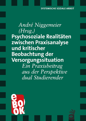 Psychosoziale Realitäten zwischen Praxisanalyse und kritischer Beobachtung der Versorgungssituation von Niggemeier,  André