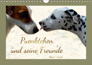 Pünktchen und seine Freunde (Wandkalender 2019 DIN A4 quer) von Hultsch,  Heike