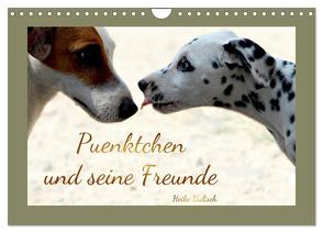Pünktchen und seine Freunde (Wandkalender 2024 DIN A4 quer), CALVENDO Monatskalender von Hultsch,  Heike