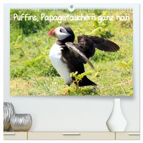 Puffins, Papageitauchern ganz nah (hochwertiger Premium Wandkalender 2024 DIN A2 quer), Kunstdruck in Hochglanz von Valder,  Natascha