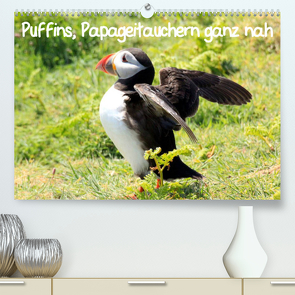 Puffins, Papageitauchern ganz nah (Premium, hochwertiger DIN A2 Wandkalender 2022, Kunstdruck in Hochglanz) von Valder,  Natascha