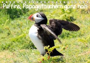 Puffins, Papageitauchern ganz nah (Tischkalender 2018 DIN A5 quer) von Valder,  Natascha