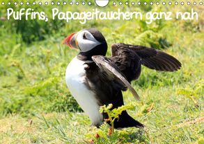 Puffins, Papageitauchern ganz nah (Wandkalender 2019 DIN A4 quer) von Valder,  Natascha