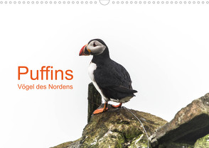 Puffins – Vögel des Nordens (Wandkalender 2023 DIN A3 quer) von Jacob,  Geertje