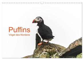 Puffins – Vögel des Nordens (Wandkalender 2024 DIN A3 quer), CALVENDO Monatskalender von Jacob,  Geertje