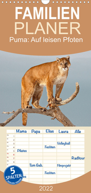 Familienplaner Puma: Auf leisen Pfoten (Wandkalender 2022 , 21 cm x 45 cm, hoch) von CALVENDO