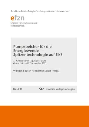 Pumpspeicher für die Energiewende – Spitzentechnologie auf Eis? von Busch,  Wolfgang, Kaiser,  Friederike