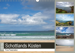 Pure Faszination – Schottlands Küsten (Wandkalender 2019 DIN A3 quer) von Potratz,  Andrea