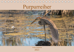 Purpurreiher (Tischkalender 2021 DIN A5 quer) von Köhn,  André