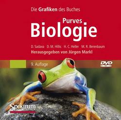 Purves Biologie Bild-DVD von Berenbaum,  May R., Heller,  H. Craig, Hillis,  David, Markl,  Jürgen, Sadava,  David