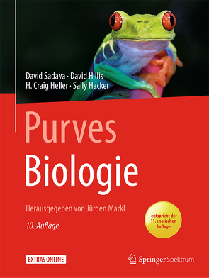 Purves Biologie von Delbrück,  Matthias, Hacker,  Sally D., Held,  Andreas, Heller,  H. Craig, Hillis,  David M., Jarosch,  Birgit, Markl,  Jürgen, Niehaus-Osterloh,  Monika, Sadava,  David, Seidler,  Lothar, Sixt,  Eva