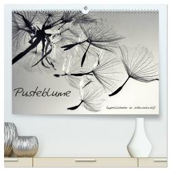 Pusteblume – Impressionen in schwarzweiß (hochwertiger Premium Wandkalender 2024 DIN A2 quer), Kunstdruck in Hochglanz von Delgado,  Julia