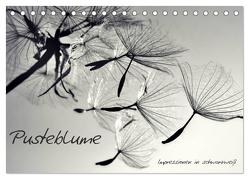 Pusteblume – Impressionen in schwarzweiß (Tischkalender 2024 DIN A5 quer), CALVENDO Monatskalender von Delgado,  Julia