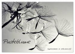 Pusteblume – Impressionen in schwarzweiß (Wandkalender 2024 DIN A2 quer), CALVENDO Monatskalender von Delgado,  Julia