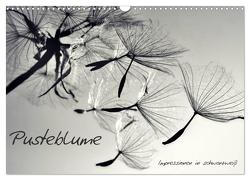 Pusteblume – Impressionen in schwarzweiß (Wandkalender 2024 DIN A3 quer), CALVENDO Monatskalender von Delgado,  Julia