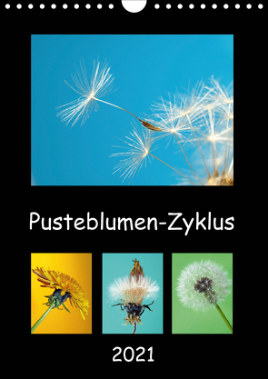 Pusteblumen-Zyklus (Wandkalender 2021 DIN A4 hoch) von Laimgruber,  Dagmar