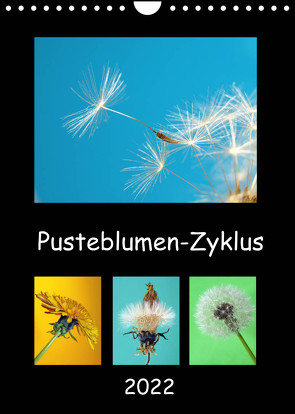 Pusteblumen-Zyklus (Wandkalender 2022 DIN A4 hoch) von Laimgruber,  Dagmar