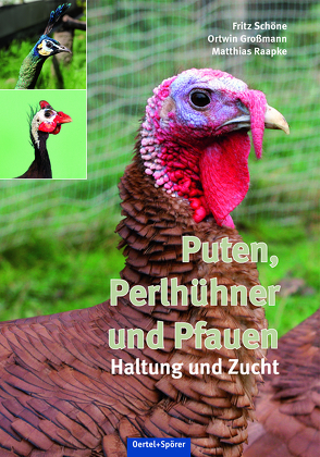 Puten, Perlhühner und Pfauen von Großmann,  Ortwin, Raapke,  Matthias, Schöne,  Fritz