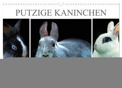 Putzige Kaninchen – Artwork (Wandkalender 2024 DIN A3 quer), CALVENDO Monatskalender von Brunner-Klaus,  Liselotte