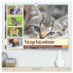 Putzige Katzenkinder. Drollige Kätzchen entdecken die Welt! (hochwertiger Premium Wandkalender 2024 DIN A2 quer), Kunstdruck in Hochglanz von Hurley,  Rose